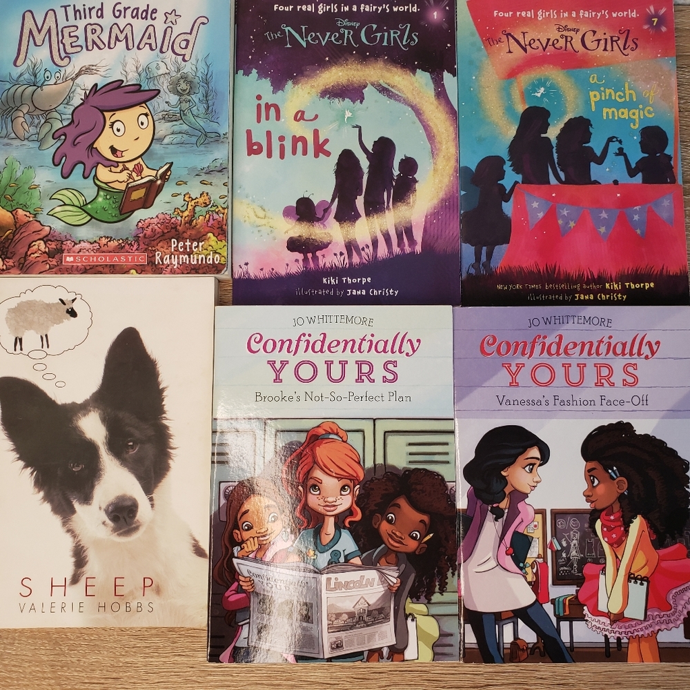 6 Piece Young Readers Girl Youth Children's Books